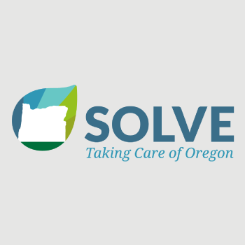 Solve Logo